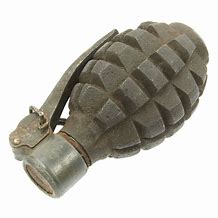 Image result for Polish Grenade
