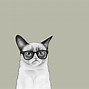 Image result for Galaxy Cat Meme Sticker
