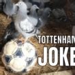 Image result for Spurs Jokes