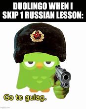 Image result for Russian Bird Meme
