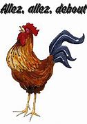 Image result for Coq GIF