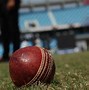 Image result for Parts of the Leather Ball in Cricket