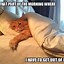 Image result for Hilarious Cat Memes