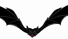 Image result for Bat Anatomy Image PNG