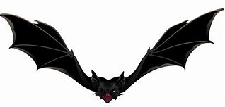 Image result for Vampire Bat Transparent Background