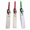 Image result for Kookaburra Cricket Bat Care