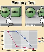 Image result for Human Losing Memory Mouse