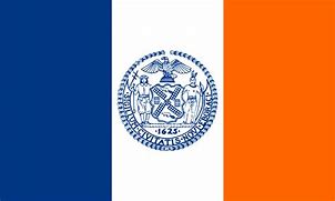 Image result for New York City Flag