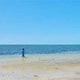 Image result for DropTopGal FL New Beach M