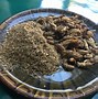 Image result for Lizard Food Crickets