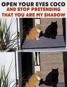 Image result for Creepy Black Shadow Memes