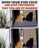 Image result for Shadow Memes Template