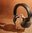 Image result for The Best Apple Headphones On the Market