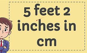 Image result for 5 Foot 2 Inches