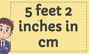 Image result for 290 mm to Cm