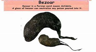Image result for bezoar