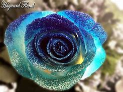 Image result for Blue Glitter Roses