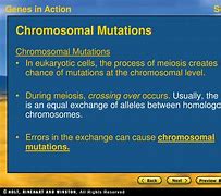 Image result for Gene and Chromosome Mutations