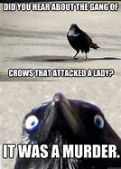 Image result for Crow Memes Funny