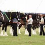 Image result for heavy_horses
