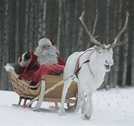 Image result for Santa Claus and Rudolph in Real Life