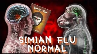 Image result for Plague Inc Simian Flu