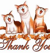Image result for Thank You Cat Images