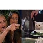 Image result for Cat-Friend Meme
