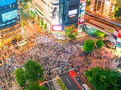 Image result for Shibuya Crossing Nature