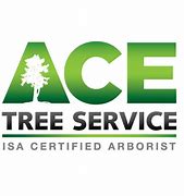 Image result for acetree�a