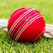 Image result for Old Cricket Ball