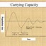 Image result for Explain the Concept of Carrying Capacity