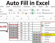 Image result for Auto Fill Column in Excel