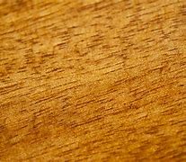 Image result for Natural Wood Grain Texture
