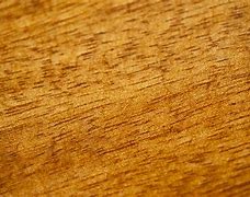 Image result for Micro Grain Texture