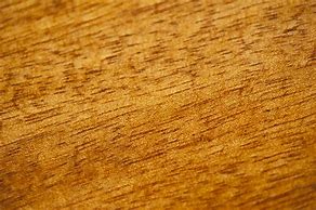 Image result for Large Wood Texture Grain