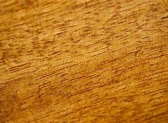 Image result for Grainy Texture Food