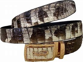 Image result for Fendi Crocodile Belt