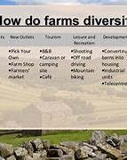 Image result for Farm Diversification