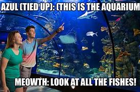 Image result for Aristocrat Aquarium Meme