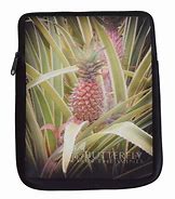 Image result for Kindle Cases Pineapple