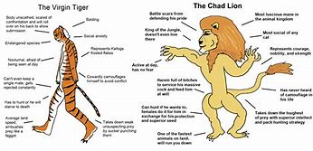 Image result for Chad Tiger