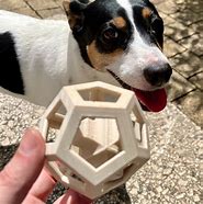 Image result for Interactive Dog Toys