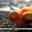 Image result for Funny Lab Tech Memes