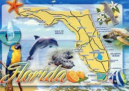 Image result for Florida Tourist Attractions Map