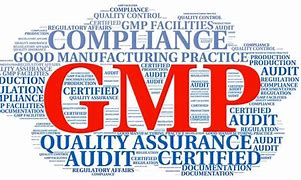 Image result for GMPs for Food Manufacturing
