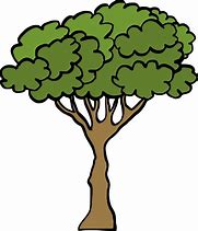Image result for Cartoon Tree