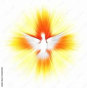 Image result for Holy Spirit Dove Icon