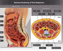 Image result for abdomdn