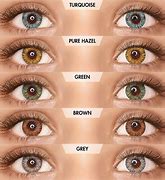 Image result for Different Brands of Contact Lenses